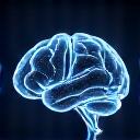 Icône représentant un cerveau et des objets en 3D, symbolisant le spatial computing